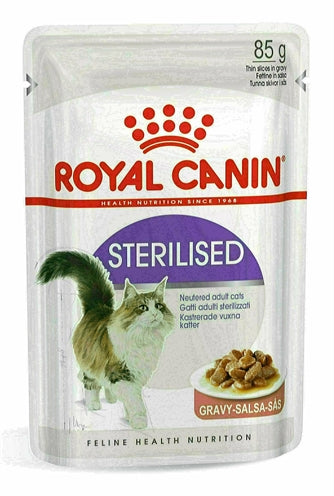 Canino reale canino felino sterilizzato nel sugo