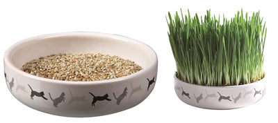 Seme di erba gatta trixie 50gr in ceramica