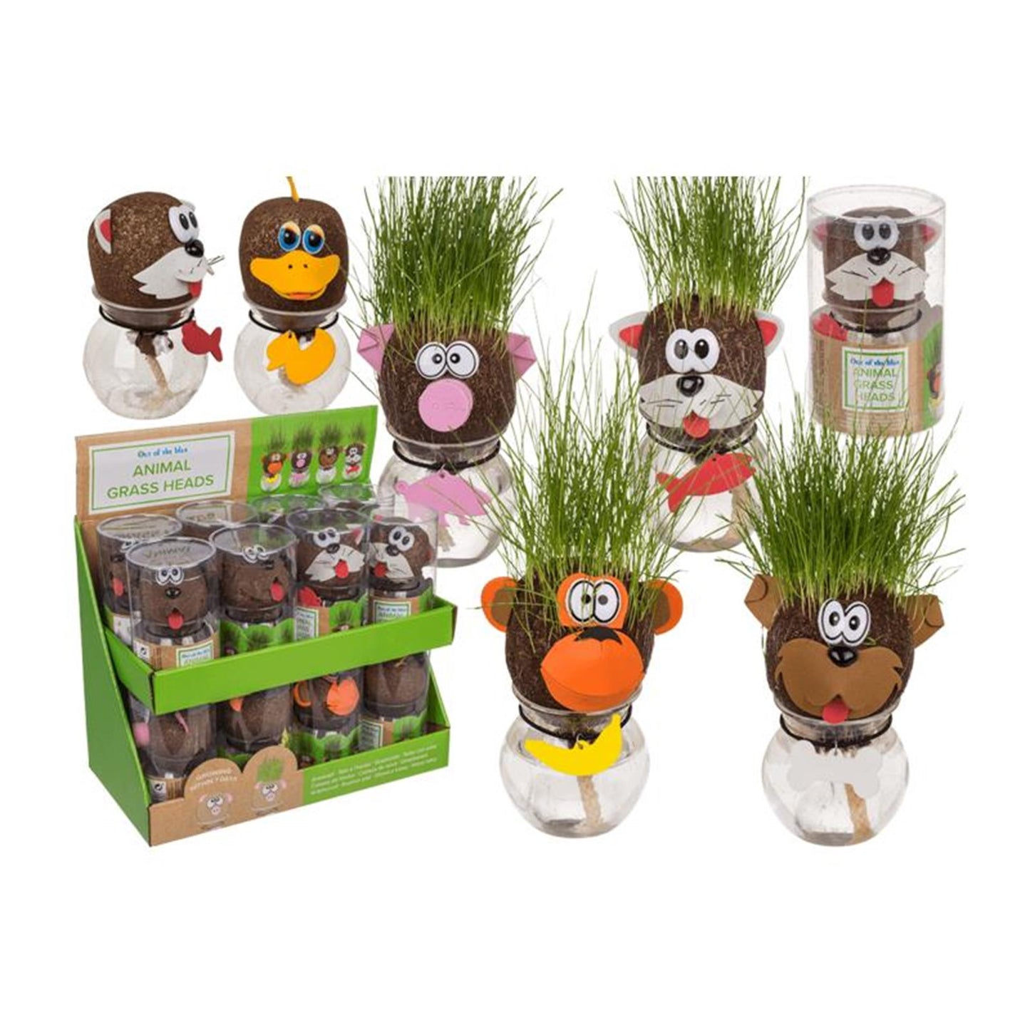 Testa d'erba animale dal blu in vaso di vetro 12,5 cm