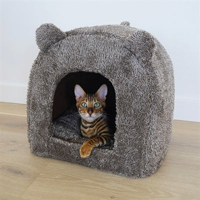 40 strizzanti il cesto gatto iglo teddy bruin