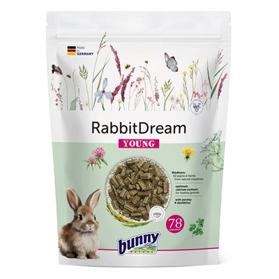 Conejito Naturaleza Rabbit Dream Young