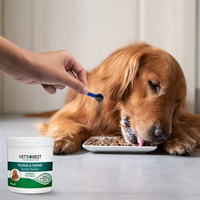 Veterinari la migliore polvere dentale
