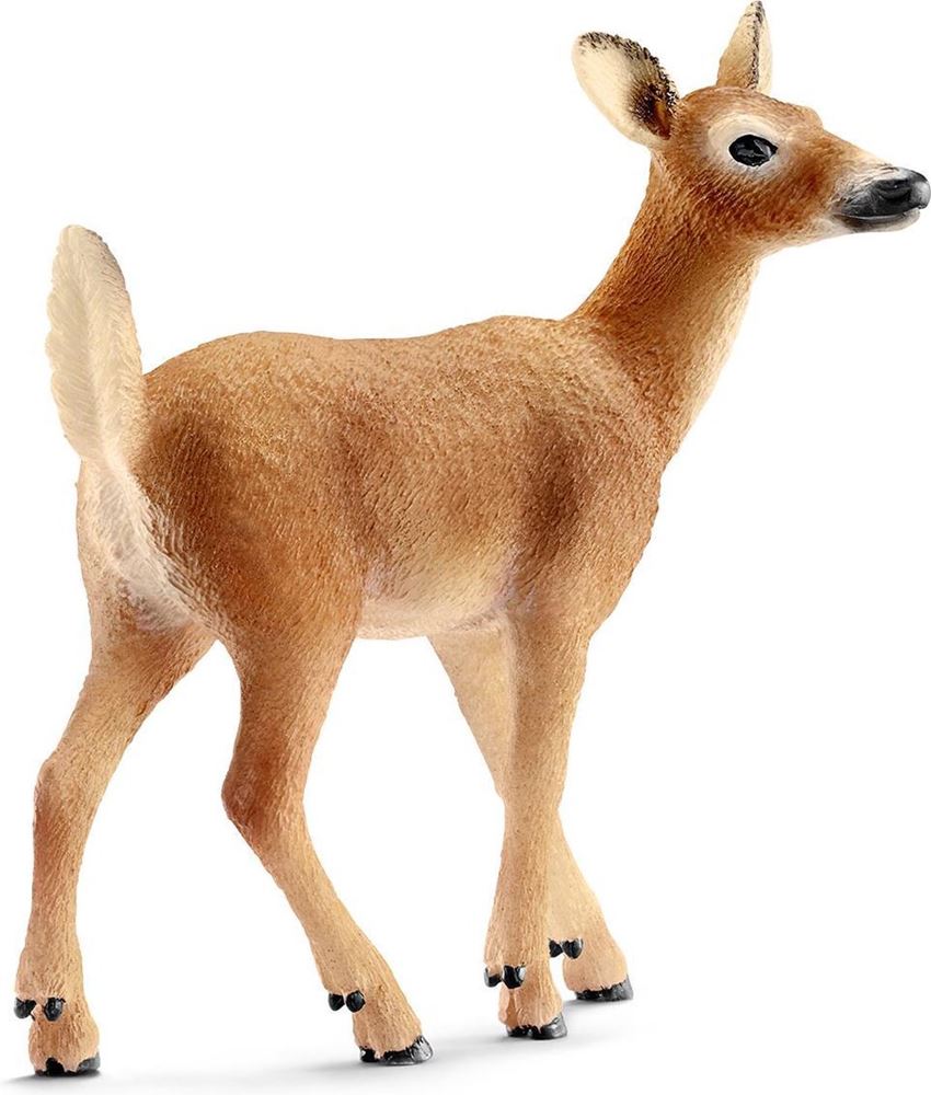 Schleich vita selvaggia coda bianca. 3