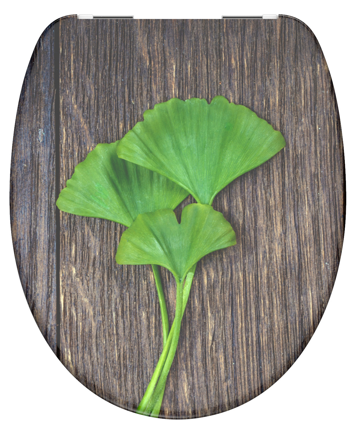Asiento de inodoro Schütte Schütte con madera Ginkgo de cierre suave