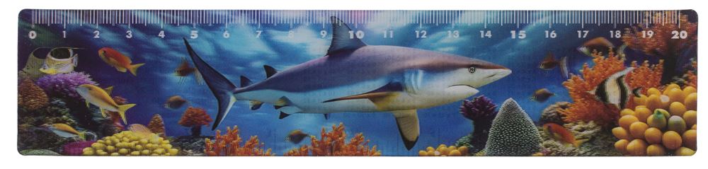 Righello Dsp animali marini, 21 cm. 12 assi