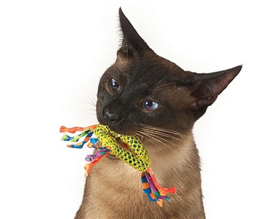 Cappuggi Catnip Dental Health Chew