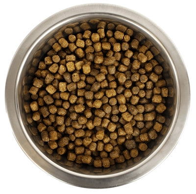YourDog Dwergof TypeDel Pup
