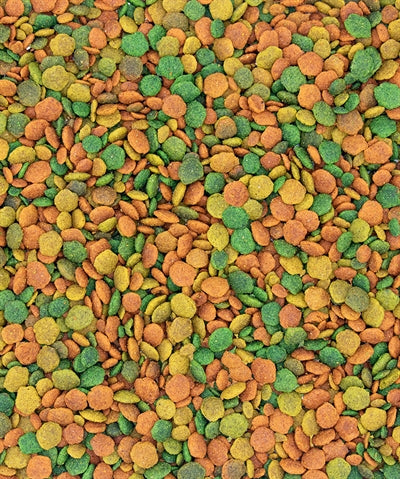 Nutribird Tropical G14 Feed de mantenimiento