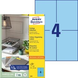 Etichette ogni 105x148mm blu 400 pz