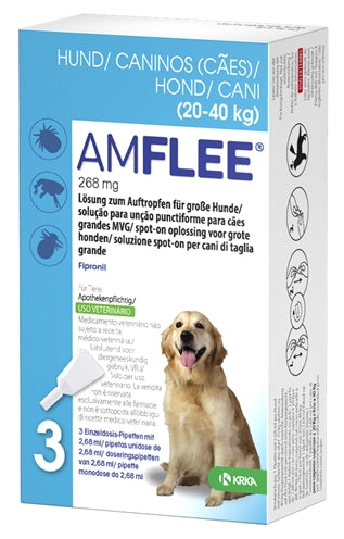 Krka Amflee Spot su Hond