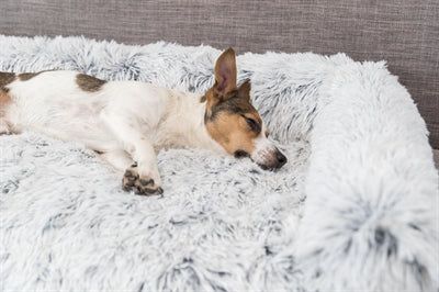 Trixie sofá cama harvey muebles protector angular blanco negro