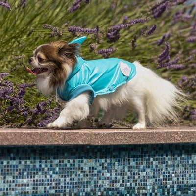 Croci Impercoat Dog Shark Blu azzurro