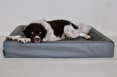 Bia Bia Copertura in pelle artificiale cestino per cane grigio