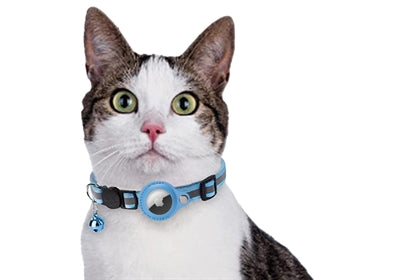 Croci Collar Cat con titular de etiqueta azul claro