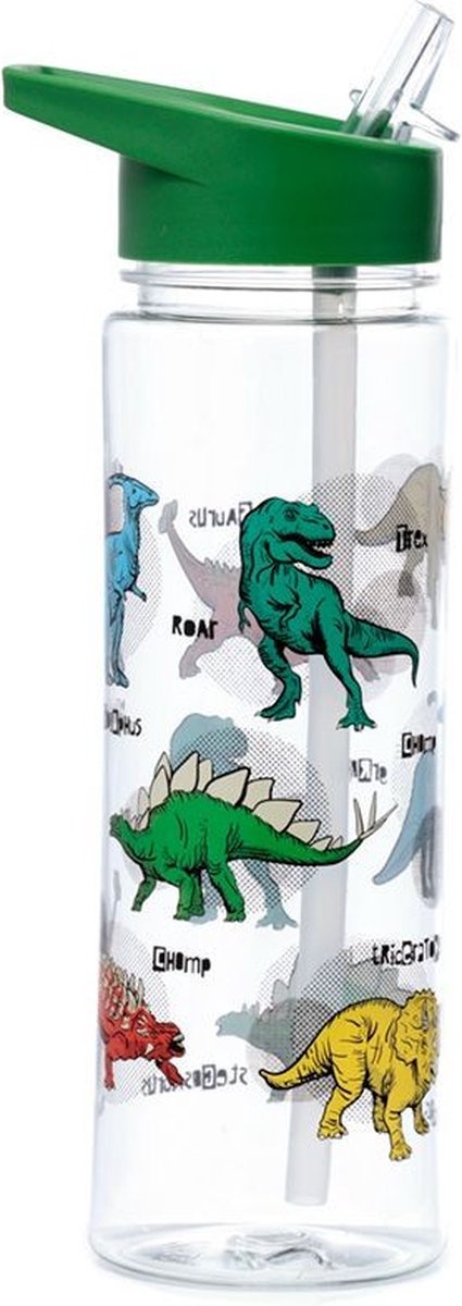 Dinosauria Ecozen Water Bottle 550 ml Flip Straw