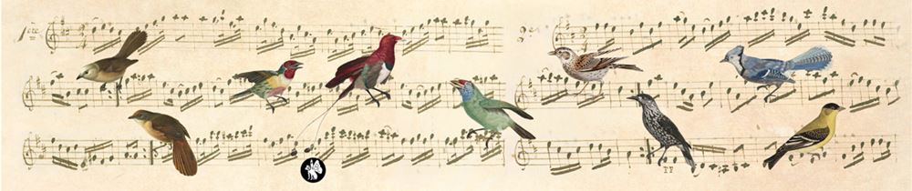 Musica Rondo61: note (wie schön, dass