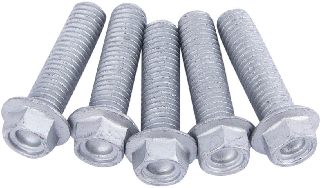 Set di viti TRW 5pcs. M8X1.25