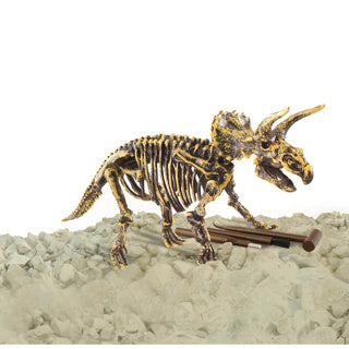 Dinobase dinobase 3d triceratops scheletro