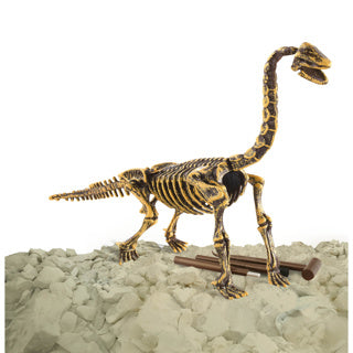 Dinobase dinobase 3d brachiosaurus scheletro