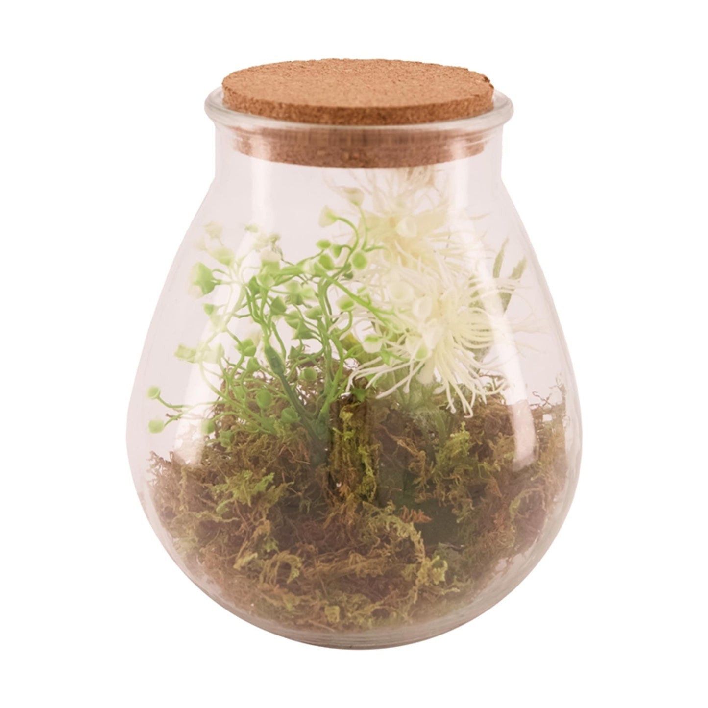 Vaso in vetro collezioni Natural con pianta artificiale ø19,5x23,5cm