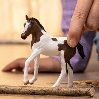 Schleich | 5 stuks