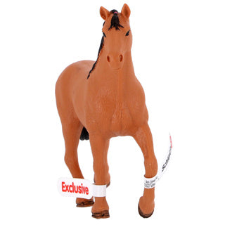 Cavallo inglese purosangue Mare 72166