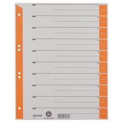Schede Leitz cartoncino kraft grigio A4 100 pezzi