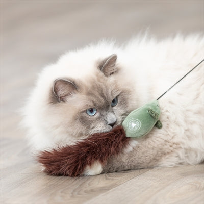 Peli di plastica del mouse a canna da gatto trixie