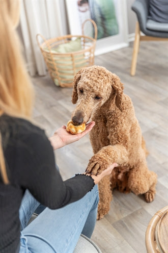 Trixie Denta Diver Giros de colágeno con pollo