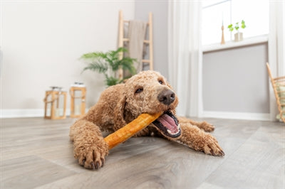 Trixie Denta Dun Fun Roll desde Collagen con pollo