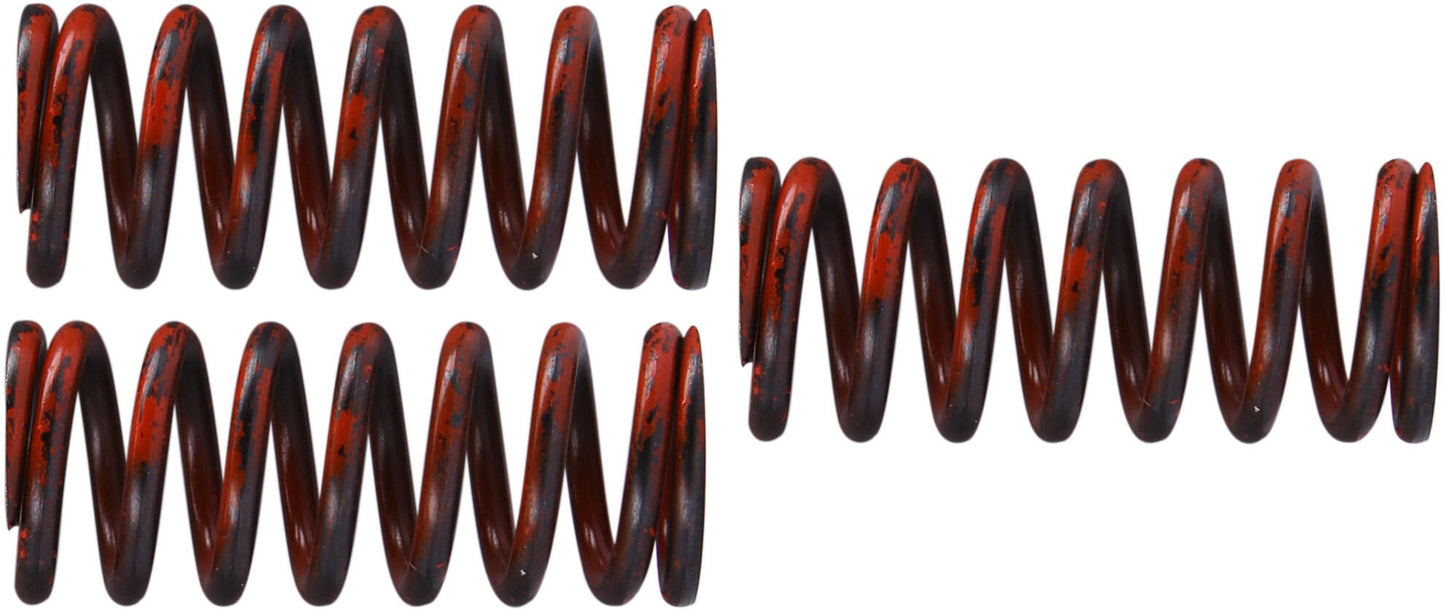 TRW Clutch Spring Kit MEF324-3