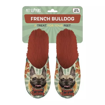 Slippel bulldog francés bulldog francés oranje