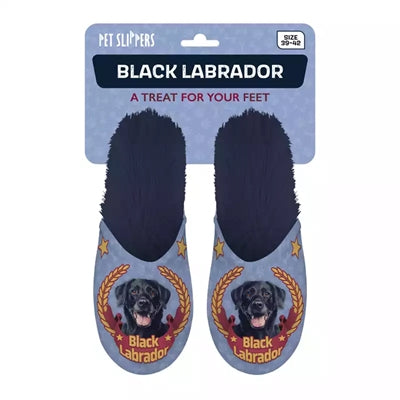 Labrador blu labrador nero scandaloso