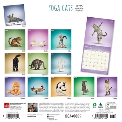 Calendario de yoga gatos 2025