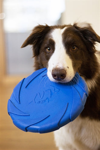 Battersea battersea folleto de espuma azul