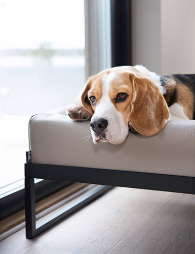 Bia Air Frame per letto nero