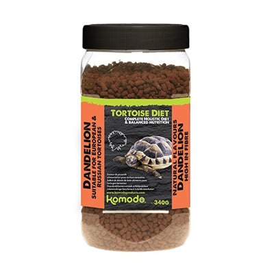 Dandelion de tortuga de alimentación de Komodo