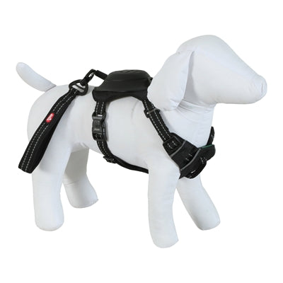 Zolux Easyride Dog Eard Black