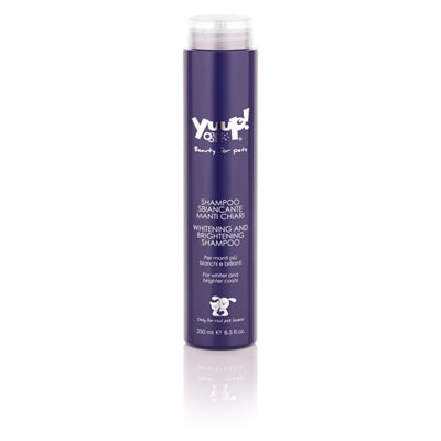 Yuup! Shampoo sbiancante e illuminante