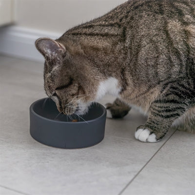Trixie Food Bowl Kat Ceramic Surorti
