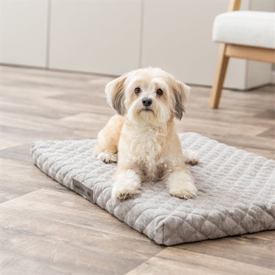 Trixie cuscino per cani Noah Vital grigio chiaro