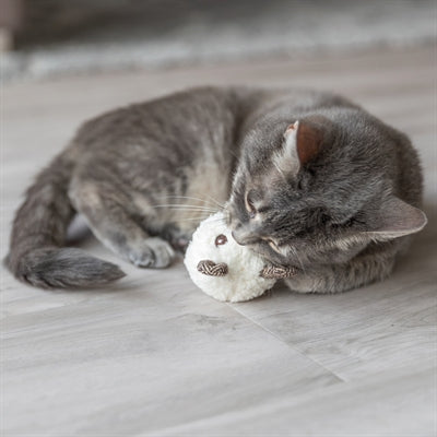 Trixie Beer con Catnip Plush Surti