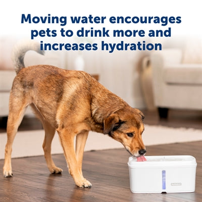 Petsafe fontanella viva