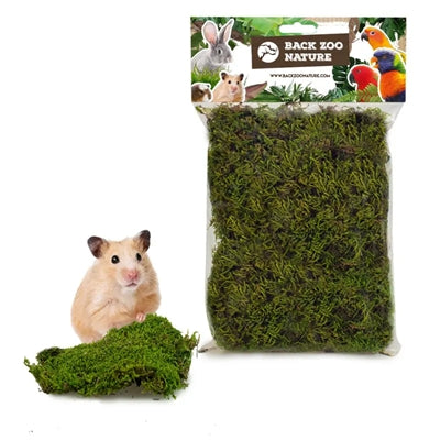 Indietro zoo natura foresta muschio