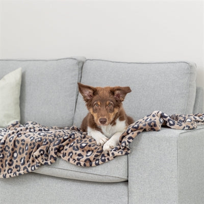Trixie hondendeken leo softpluche panterprint bruin