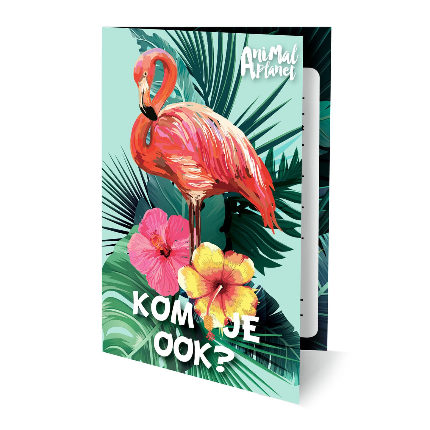 Invitaciones animal planet flamenco, 6 uds.