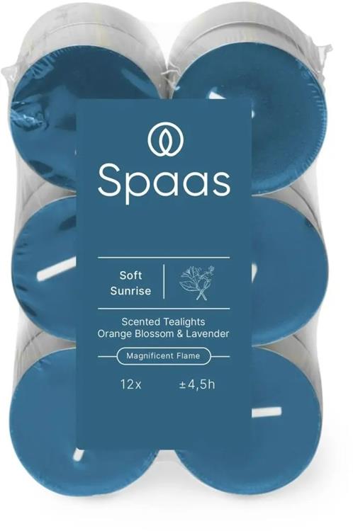 Spaas 1074081 - 12 candeline profumate - alba morbida | 10 pezzi