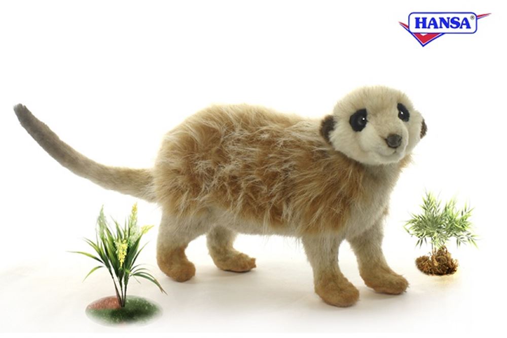 Suricata de pie 32 cm