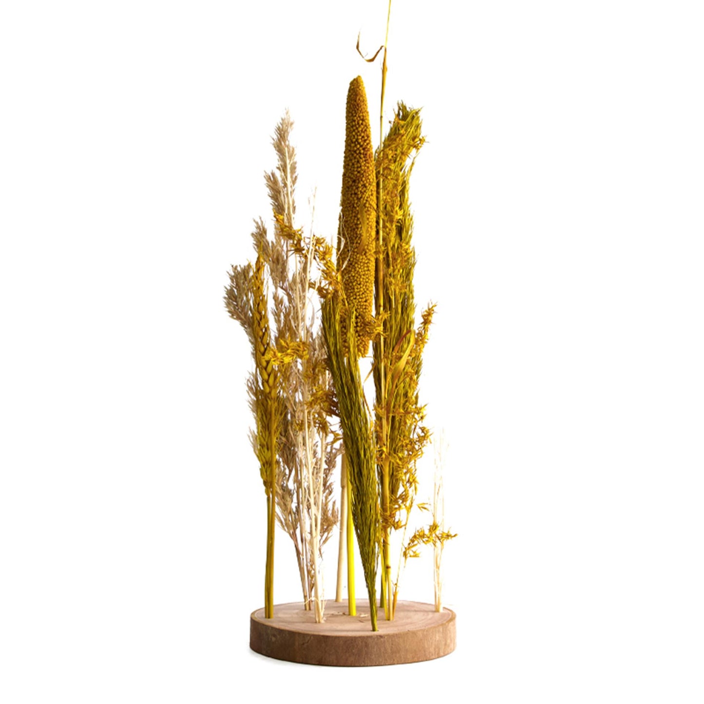 Dijk natural collections flores secas en estándar ø15x30cm