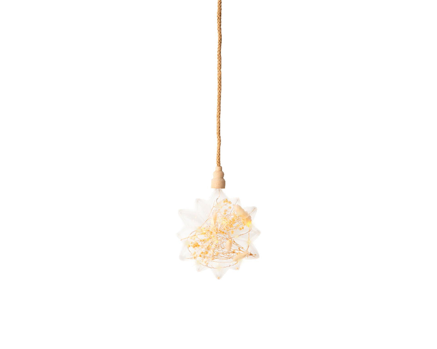 Lumineo micro stella LED con fiori secchi ø 19cm
